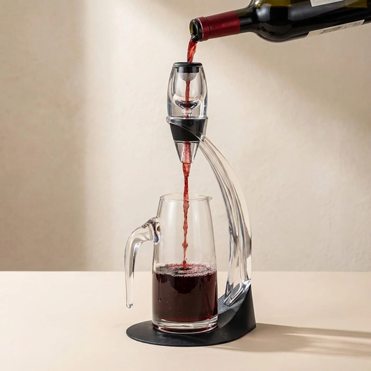 Elegant Wine Aerator Set With Filter