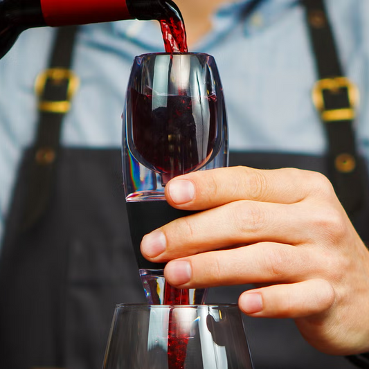 Elegant Wine Aerator Set With Filter