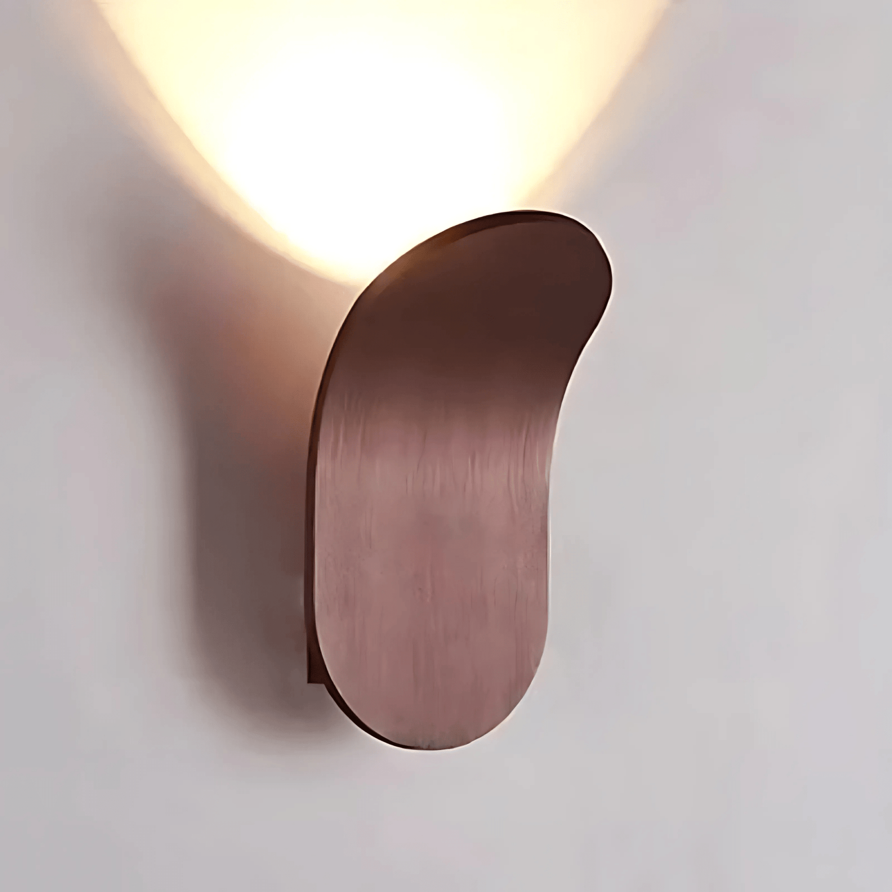 Minimalist Wall Lamp With Brushed Finish