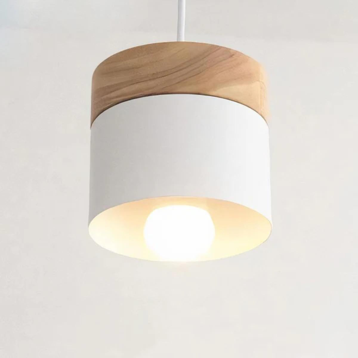Minimalistic Adjustable Pendant Light