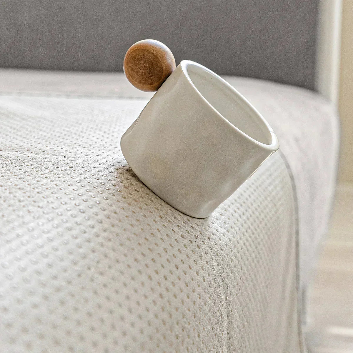 Scratch Resistant Sofa Cover